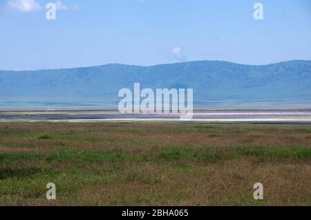 Landschaft im Ngorongoro Krater in Tansania Stockfoto