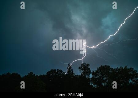 Blitzeinschlag im Wald Stockfoto