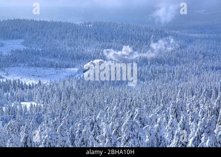 Dampfbahn der Brockenbahn im Winterwald, Wernigerode, Naturpark Harz, Sachsen-Anhalt, Deutschland Stockfoto