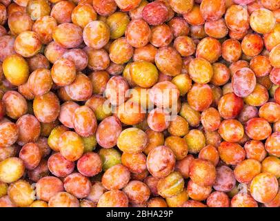 Frische gelbe Pflaumen. Essen. Draufsicht natürliche Textur. Makrofoto. Image Fruit Produkt. Reife Früchte im Herbst geerntet. Hintergrund aus Bio-Pflaumen, OW Stockfoto