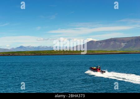 Boot, Walbeobachtung, Schnellboot, Tierkreis, Bucht, Reykjavik, Island, Europa Stockfoto