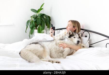 Junge lächelnde Frau mit blondem Haar in leichter Kleidung liegt auf einem weißen Bett mit einem Haustier. Verbringt Zeit zu Hause mit ihrem Hund der sibirischen Husky-Rasse. l Stockfoto