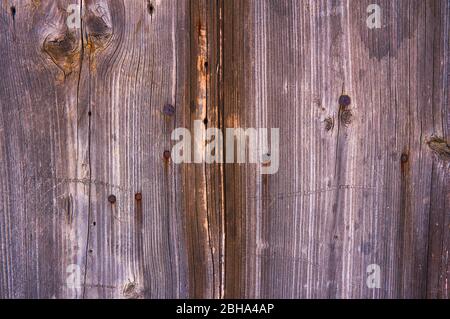 Alte Holzplatte mit Kratzern und Spänen. Stockfoto