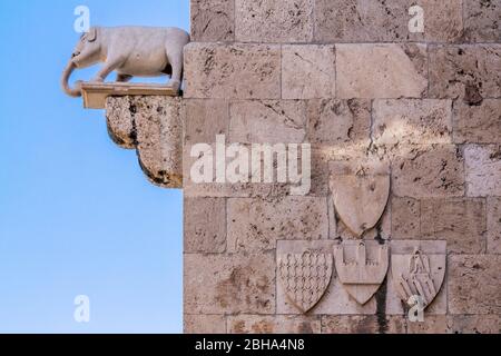 Elefantenturm, Detail der Außenseite des Torre dell'Elefante im Castello, zeigt die Steinstatue eines Elefanten, Cagliari, Sardinien, Italien Stockfoto