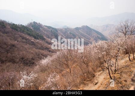 Schöne Aussicht von der Mutianyu Großen Mauer, Peking, China Stockfoto