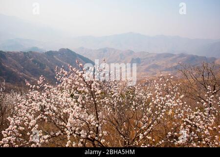 Blick von der Mutianyu Großen Mauer, Peking, China Stockfoto