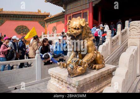 Ein vergoldeter Löwe, die Verbotene Stadt, Peking, China Stockfoto