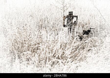 Überwachsene Tracks, Schalter Laterne, Gras, digital bearbeitet, High Key, RailArt Stockfoto
