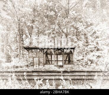 Cottage, run down, Track, Forest, digital bearbeitet, High Key, RailArt Stockfoto