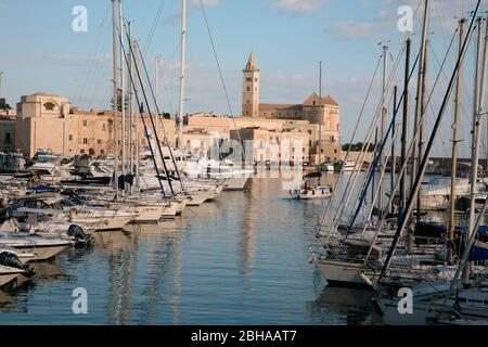 Blick über den Hafen mit Segelbooten zur Kathedrale San Nicola Pellegrino, Trani, Apulien, Italien Stockfoto