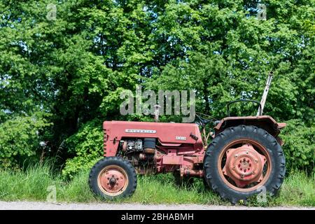 Michelstadt, Hessen, McCormick Traktor der International Harvester Company (IHC), Typ D 432, Baujahr 1964, Hubraum 2175 ccm, 32 ps. Stockfoto