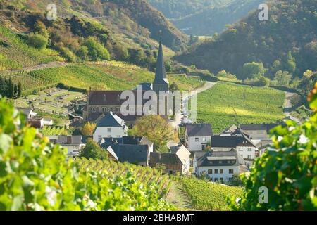 Blick vom Rotweinweg auf Mayschoss und das Ahrtal, Mayschoss, Eifel, Rheinland-Pfalz, Deutschland Stockfoto