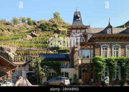 Winzerhaus mit Weinberg in Mayschoss, Mayschoss, Ahrtal, Eifel, Rheinland-Pfalz, Deutschland Stockfoto