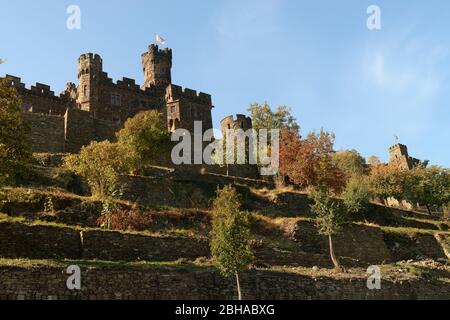 Blick auf Schloss Reichenstein bei Trechtingshausen, Trechtingshausen, UNESCO-Weltkulturerbe Oberes Mittelrheintal, Rheintal, Rheinland-Pfalz, Deutschland Stockfoto