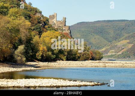 Blick auf Schloss Rheinstein bei Trechtingshausen, Trechtingshausen, UNESCO-Weltkulturerbe Oberes Mittelrheintal, Rheintal, Rheinland-Pfalz, Deutschland Stockfoto