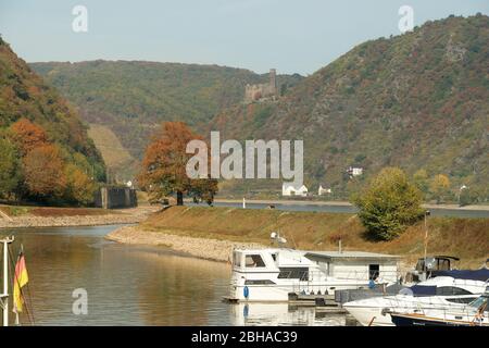 Blick von St. Goar über den Rhein auf die Burg Maus in St. Goarshausen-Wellmich, St. Goarshausen, UNESCO-Welterbe Oberes Mittelrheintal, Rheintal, Rheinland-Pfalz, Deutschland Stockfoto