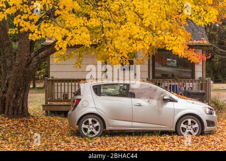 Kanada, Nova Scotia, Kingston, dem Auto mit Herbstlaub bedeckt Stockfoto