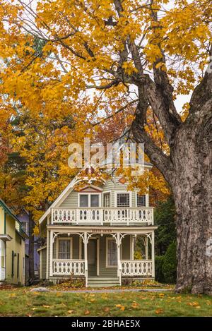 USA, Maine, Bayside, Bayview Cottages, oceanside Gemeinschaft von Cottages im ehemaligen religiösen themed Resort, Cottage, Herbst Stockfoto