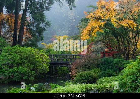 Fußgängerbrücke in japanischem Garten, Portland, Oregon, USA Stockfoto