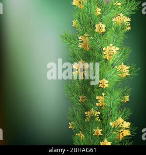 Weihnachtsrand aus realistisch aussehenden Kiefernästen mit Goldfolie Schneeflocken auf schwarz. EPS 10 Stock Vektor