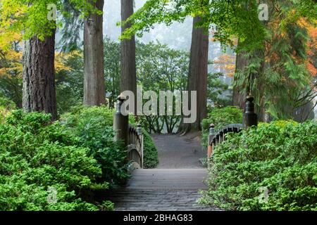Fußgängerbrücke in japanischem Garten, Portland, Oregon, USA Stockfoto