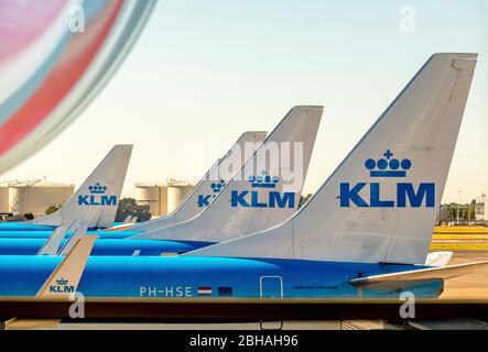 Vertikale Stabilisatoren der Fluggesellschaft KLM am Flughafen Amsterdam Schiphol, Noord-Holland, Niederlande, Europa Stockfoto