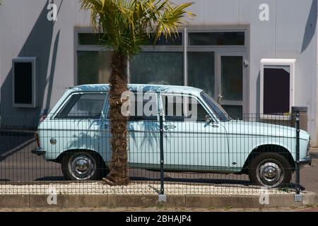 Ein gepflegter Oldtimer steht hinter einem Zaun unter einer Palme. Stockfoto