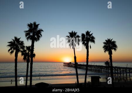 Huntington Beach Pier und Palmen bei Sonnenuntergang, Kalifornien, USA Stockfoto