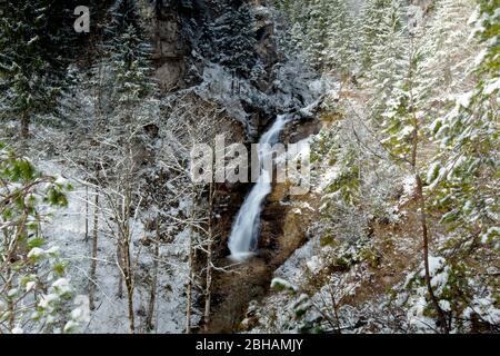 Laintalbach (Bach) in der Schneeschmelze mit starkem Wasserfluss Stockfoto