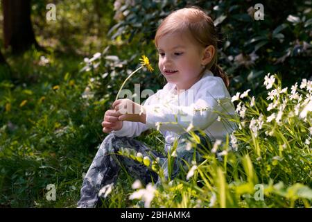 Kleines Mädchen sitzt im Frühling auf einer Wiese Stockfoto