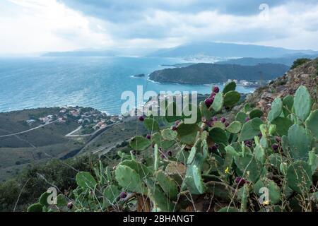 Europa, Spanien, Katalonien, Costa Brava, Blick vom Wanderweg Camí de Ronda nach Llancà, Ihrem ersten Ziel des Tages Stockfoto