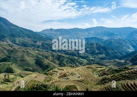 Draufsicht auf die Reisterrassenfelder von Longsheng (Drachenhinterbein) in der Region Guangxi, China Stockfoto