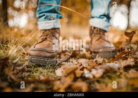 Die Beine des Mannes beim Gehen auf den Herbstblättern Stockfoto