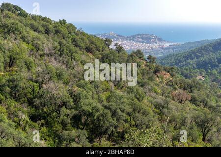 Europa, Spanien, Katalonien, Costa Brava, Blick hinunter nach Sant Feliu de Guíxols an der Costa Brava Stockfoto