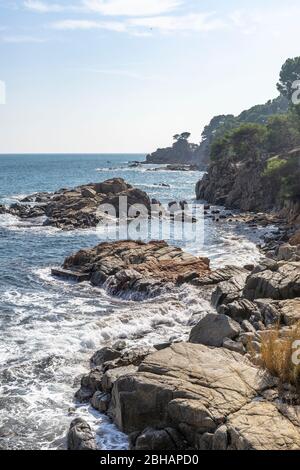 Europa, Spanien, Katalonien, Costa Brava, Küstenlinie bei Llafranc Stockfoto