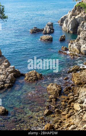 Europa, Spanien, Katalonien, Costa Brava, Hidden Cove kurz vor Lloret de Mar Stockfoto