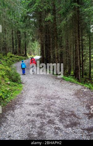 Europa, Österreich, Tirol, Neustift im Stubaital, Mutter und Sohn wandern auf einem Waldweg entlang des Wilden-Wasser-Weges in Richtung Grawa Alm Stockfoto