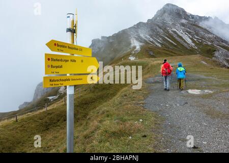 Europa, Österreich, Tirol, Neustift im Stubaital, Stockfoto