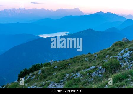 Europa, Deutschland, Bayern, Voralpenland, Benediktbeuern, Blick von der Benediktenwand über den Walchensee im Karwendel bei Sonnenuntergang Stockfoto