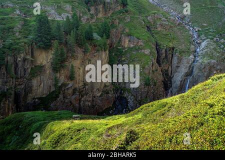 Europa, Österreich, Tirol, Ötztal Alpen, Vent, Schafe auf einer steilen Bergwiese oberhalb der Rofenache im Rofental Stockfoto