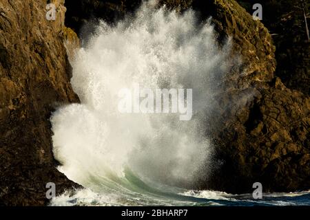 Welle stürzt über felsigen Ufer, Cape Disappointment State Park, Washington, USA Stockfoto