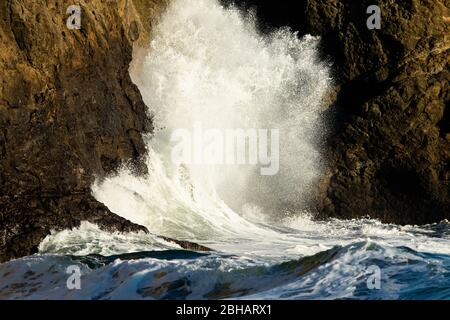 Welle stürzt über felsigen Ufer, Cape Disappointment State Park, Washington, USA Stockfoto