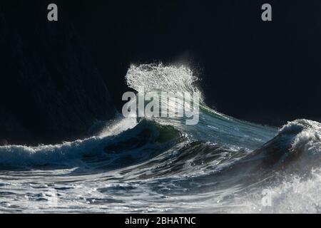 Blick auf Hochwelle, Cape Disappointment State Park, Washington, USA Stockfoto