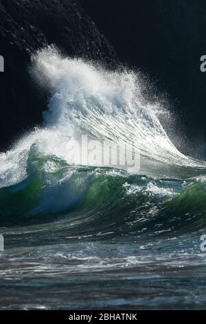 Blick auf Hochwelle, Cape Disappointment State Park, Washington, USA Stockfoto