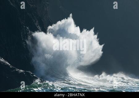 Blick auf Hochwelle, Cape Disappointment State Park, Washington, USA Stockfoto