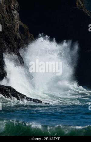 Blick auf Hochwelle, Cape Disappointment State Park, Washington, USA Stockfoto