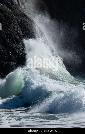 Blick auf Hochwelle, Cape Disappointment State Park, Washington, USA Stockfoto