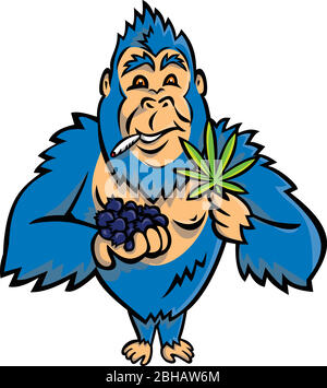 Maskottchen-Ikone Illustration eines blauen Gorilla, der einen Haufen Heidelbeere auf der einen und Cannabisblatt auf der anderen hält, während er ein Joint raucht, das von Fro steht Stock Vektor