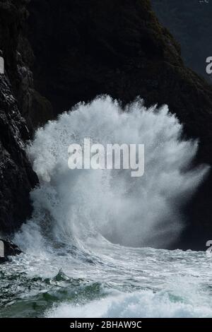 Wave trifft Klippe, Cape Disappointment State Park, Washington, USA Stockfoto