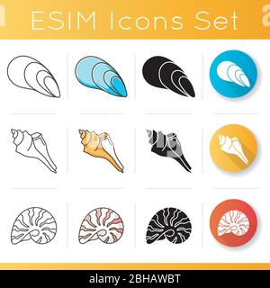 Symbole für Muscheln gesetzt Stock Vektor